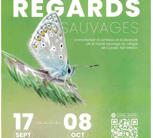 Exposition Regards sauvages
