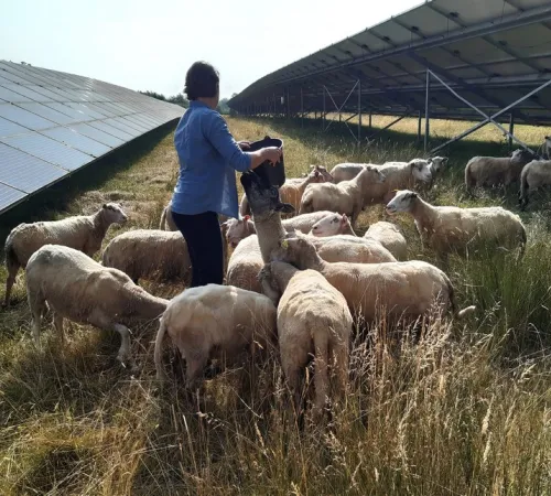 Exposition photo « Paysage rural ruscadien en danger »