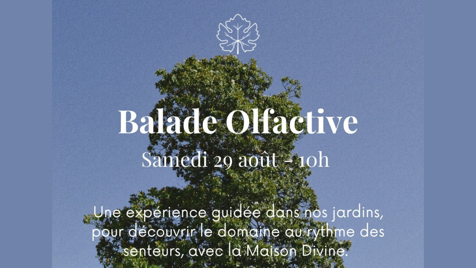 Balade Olfactive