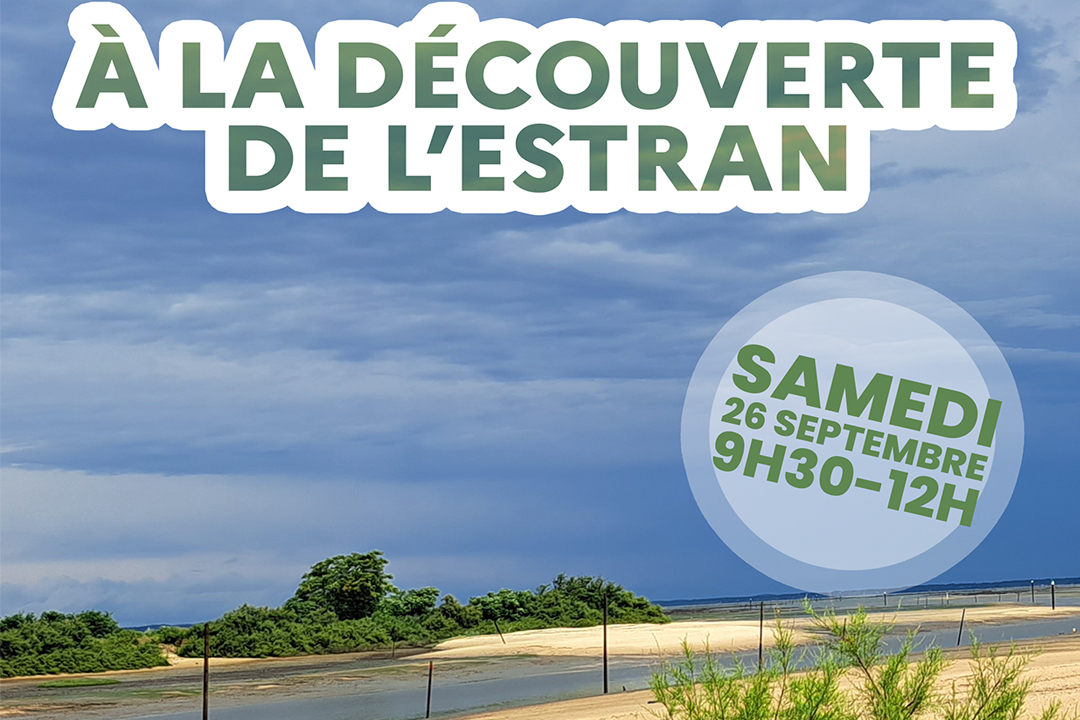 À la découverte de l’estran