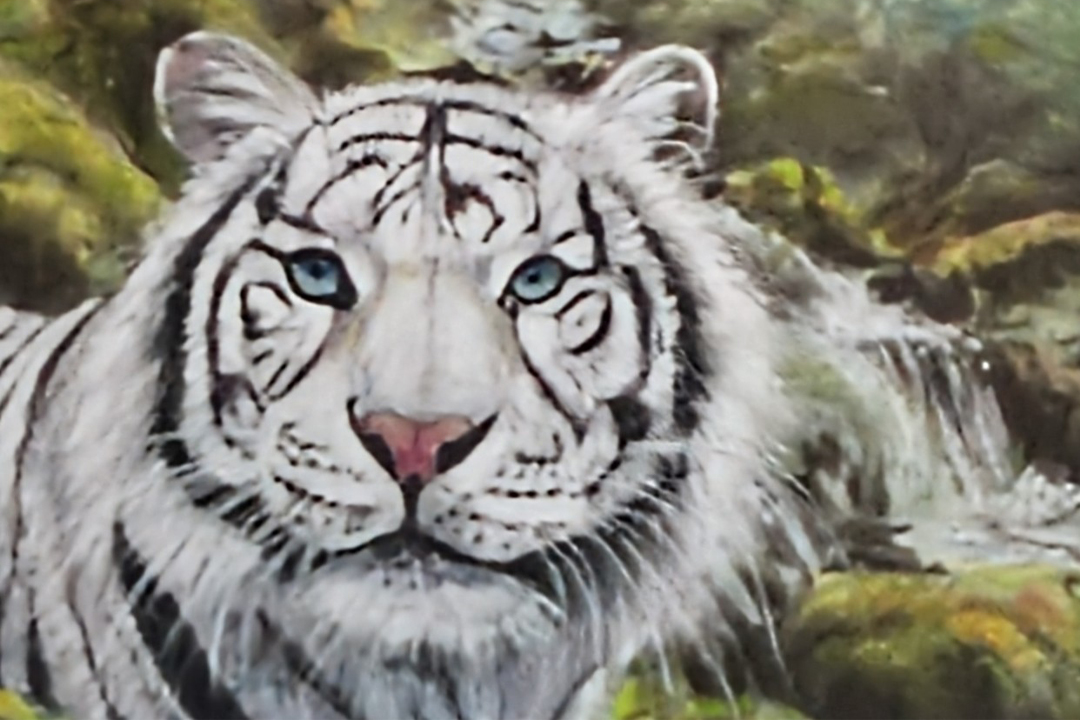 Exposition de Pastels