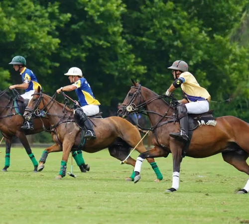Médoc Polo Tournament