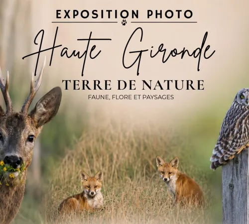 Exposition photo : Haute Gironde, Terre de Nature