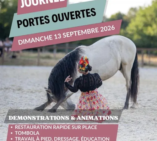 Porte Ouverte La Femme Chaussette