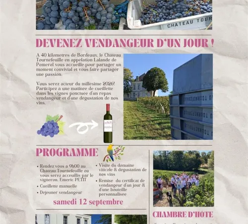 Vendangeur d'un jour - Château Tournefeuille