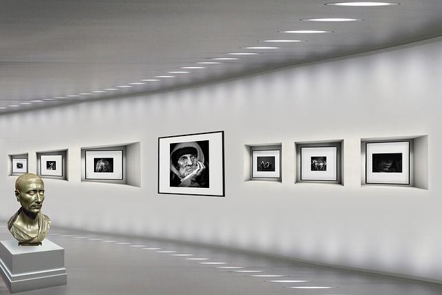 Exposition de photographies de Perinne D à Coe ...