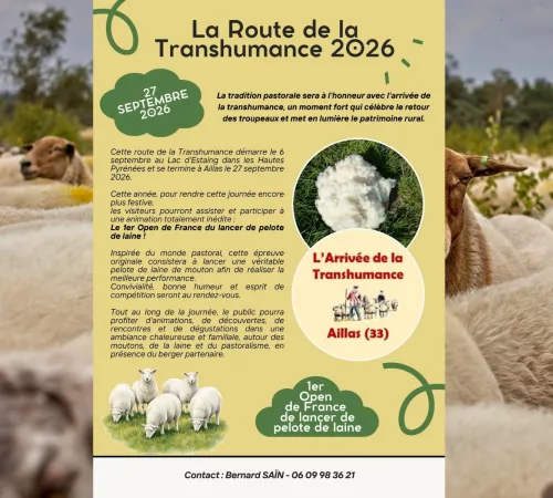 Arrivée de la transhumance