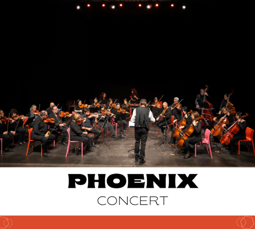Ensemble Orchestral Phoenix