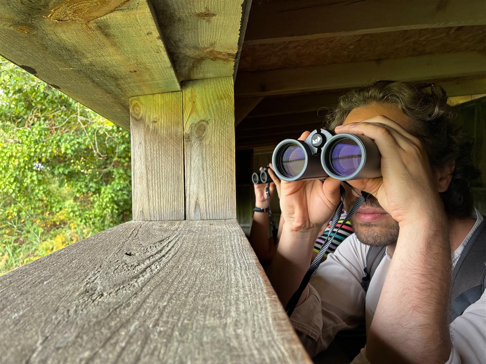 Guided tour of the Teich Bird Reserve in English