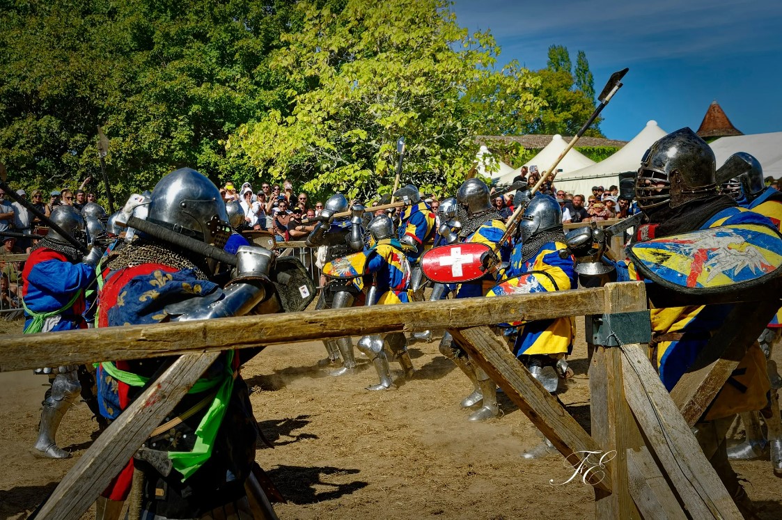 Tournoi d'Aquitaine de Béhourd 2026 au Château ...