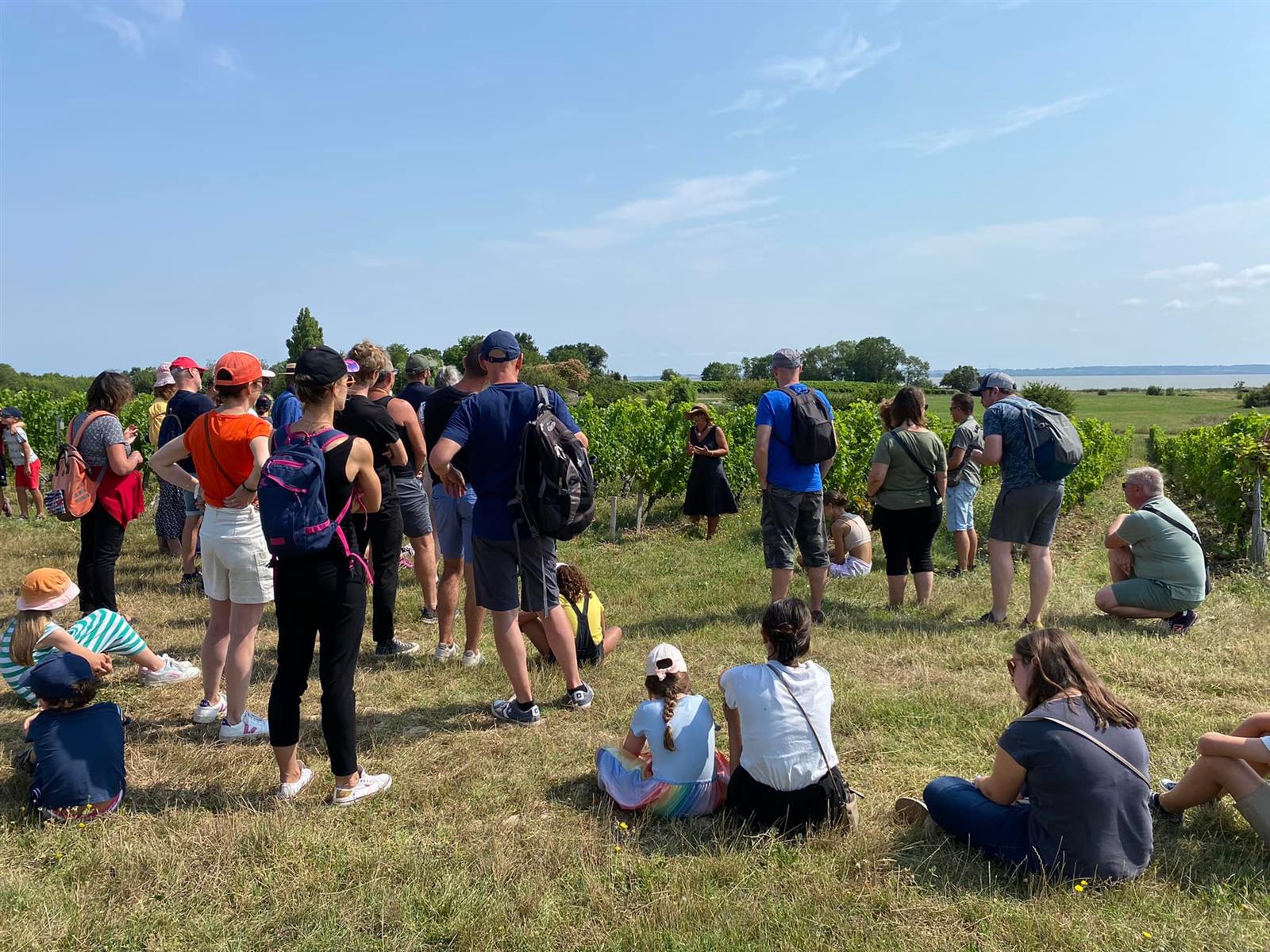 Vignobles en Scène : L'Échappée Vigneronne au  ...