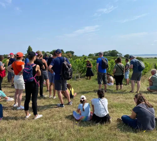 Vignobles en Scène : L'Échappée Vigneronne au château Tour Castillon