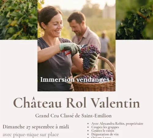 Immersion vendanges - Château Rol Valentin