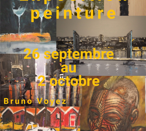 Exposition Cabane des Arts : Bruno Voyez