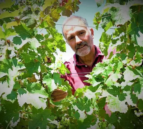 Ici, nos savoir-faire - Visite Château les Maubats