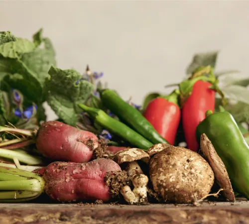 L'AMAP Jardineyre fait sa cuisine