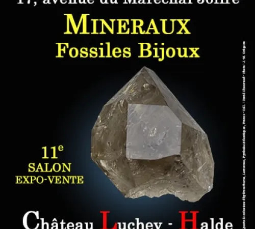 11e SALON MINERAUX FOSSILES BIJOUX de MERIGNAC (Gironde)
