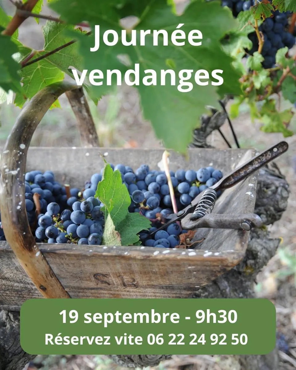 Journée vendanges au ... - Crédit: Château De La Croix | CC BY-NC-ND 4.0