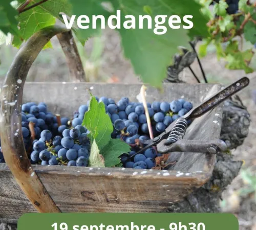 Journée vendanges au Château De La Croix (date avancée)