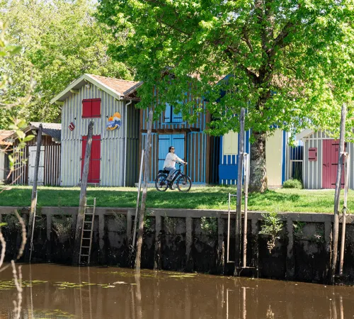 De port en port, le Coeur du Bassin se raconte... en bus Alégo