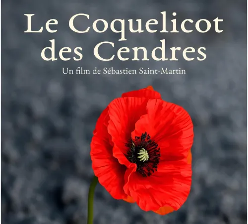 Les coquelicots de cendres