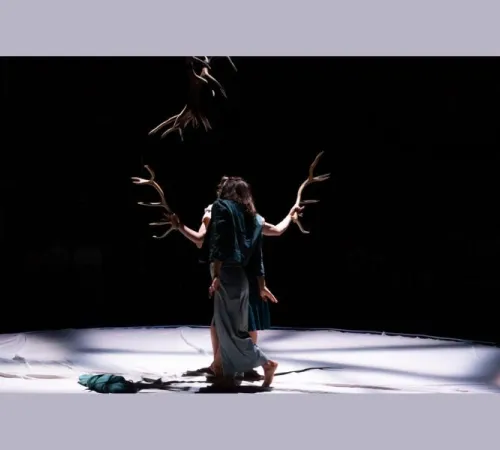 Faune avec la Cie Libertivore dans le cadre de La Nuit du Cirque