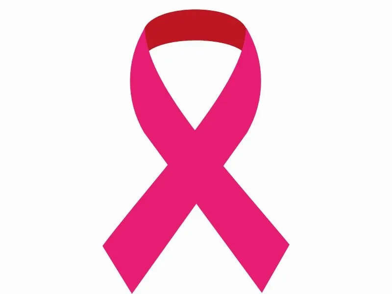 Marche octobre rose à ... - Crédit: ©Octobre Rose | CC BY-NC-ND 4.0