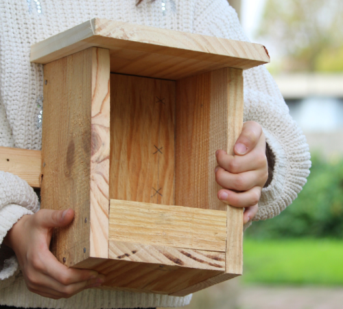 Construction d'une mangeoire à oiseaux à Terres d'oiseaux