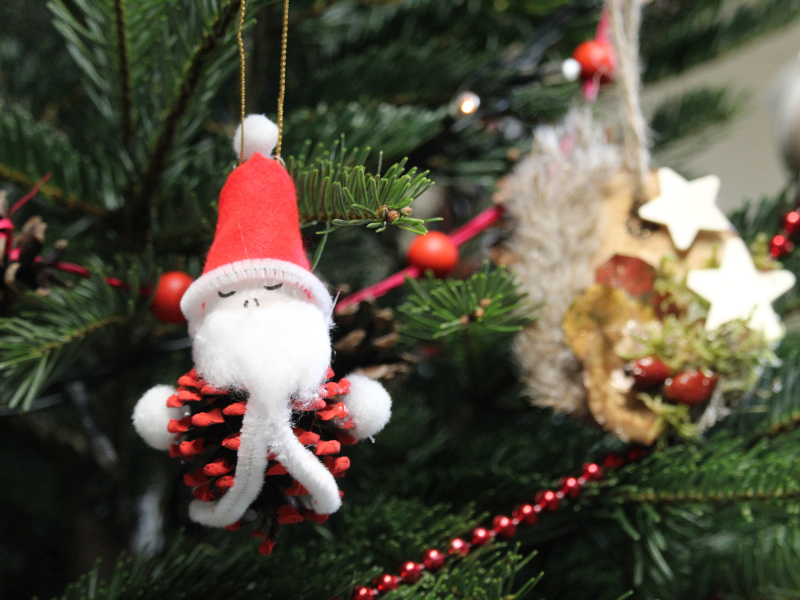 Décoration de Noël na ... - Crédit: Terres d'Oiseaux | CC BY-NC-ND 4.0