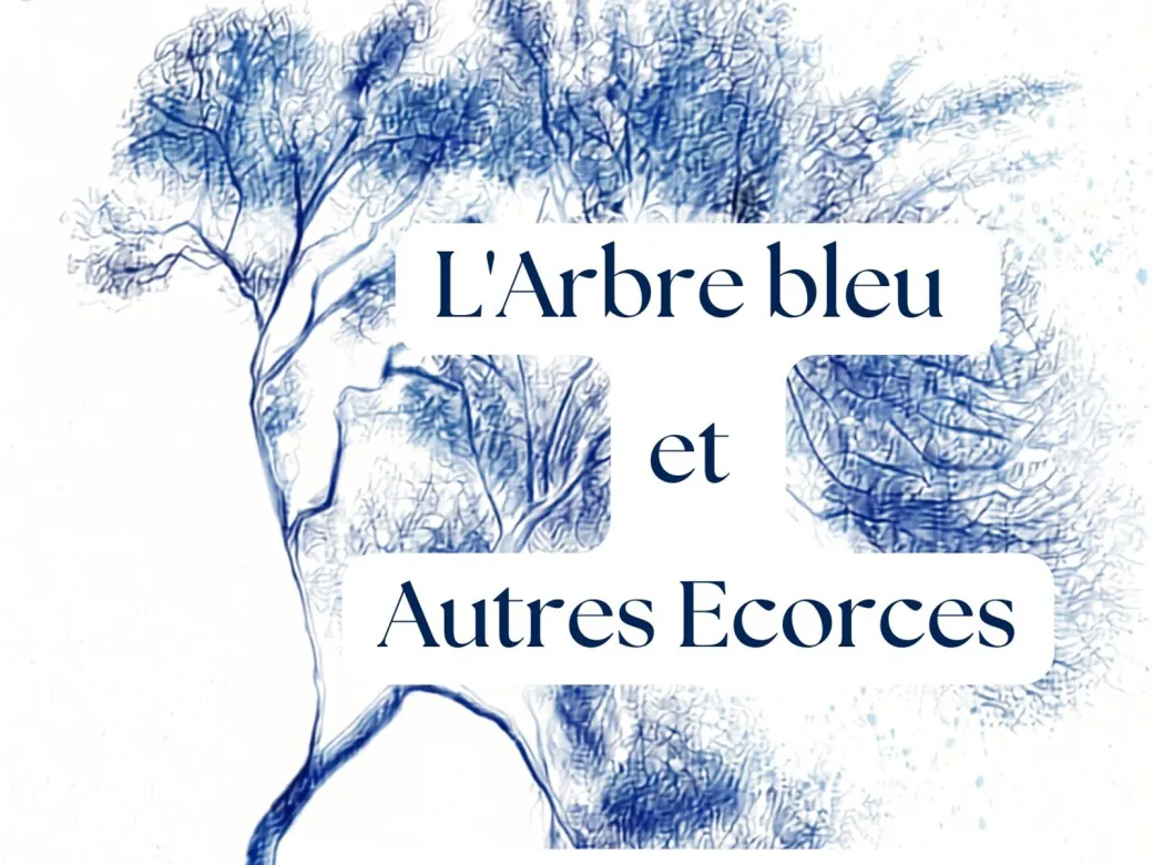 Spectacle "l'Arbre Bl ... - Crédit: Médiathèque de Salleboeuf | CC BY-NC-ND 4.0