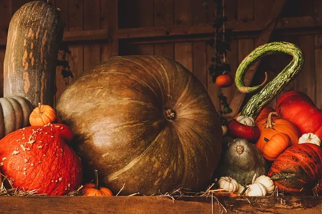 Repas d'automne par S ... - Crédit: Pixabay. | CC BY-NC-ND 4.0
