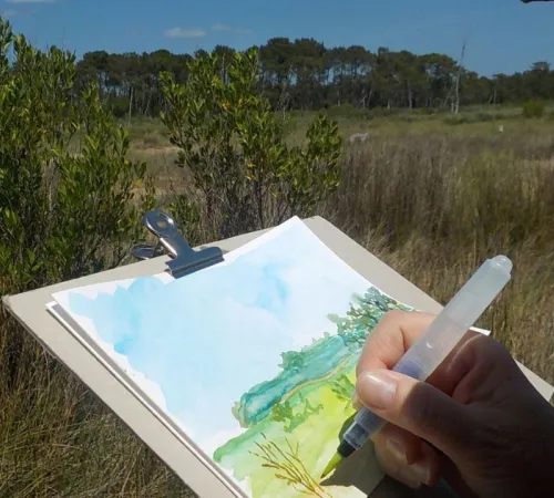 Sortie aquarelle sur les oiseaux