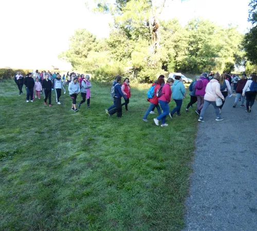 Marche rose 2026 à Berson