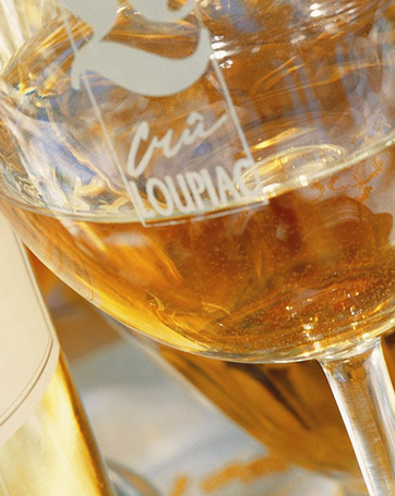 30èmes Journées Gourmandes Loupiac et Foie gras