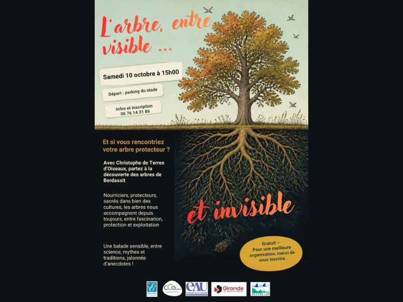 Visite de Berdassit : l'arbre entre visible et invisible