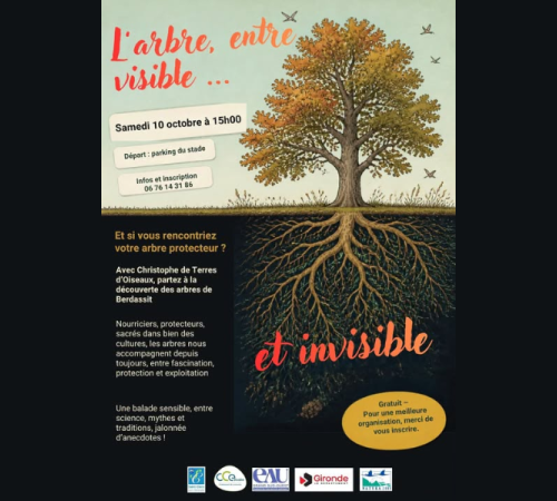 Visite de Berdassit : l'arbre entre visible et invisible