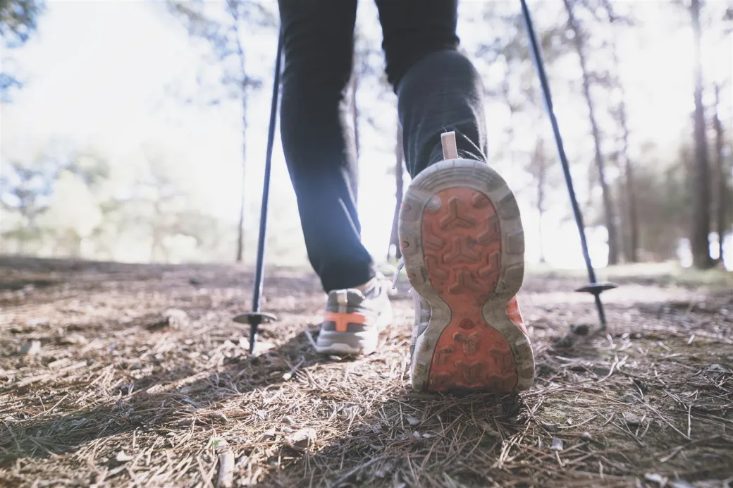Trail du Val de l'Eyre - Crédit: Freepik | CC BY-NC-ND 4.0