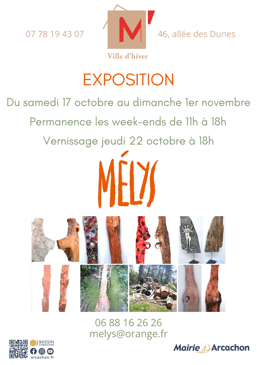 Exposition par Mélys - M' La Ville d'Hiver
