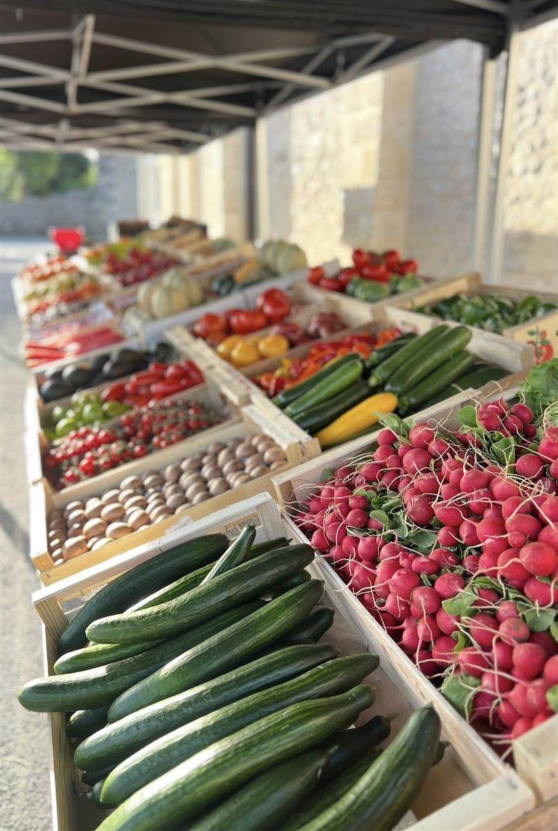 Marché dominical - Crédit: Ville de Cadaujac | CC BY-NC-ND 4.0