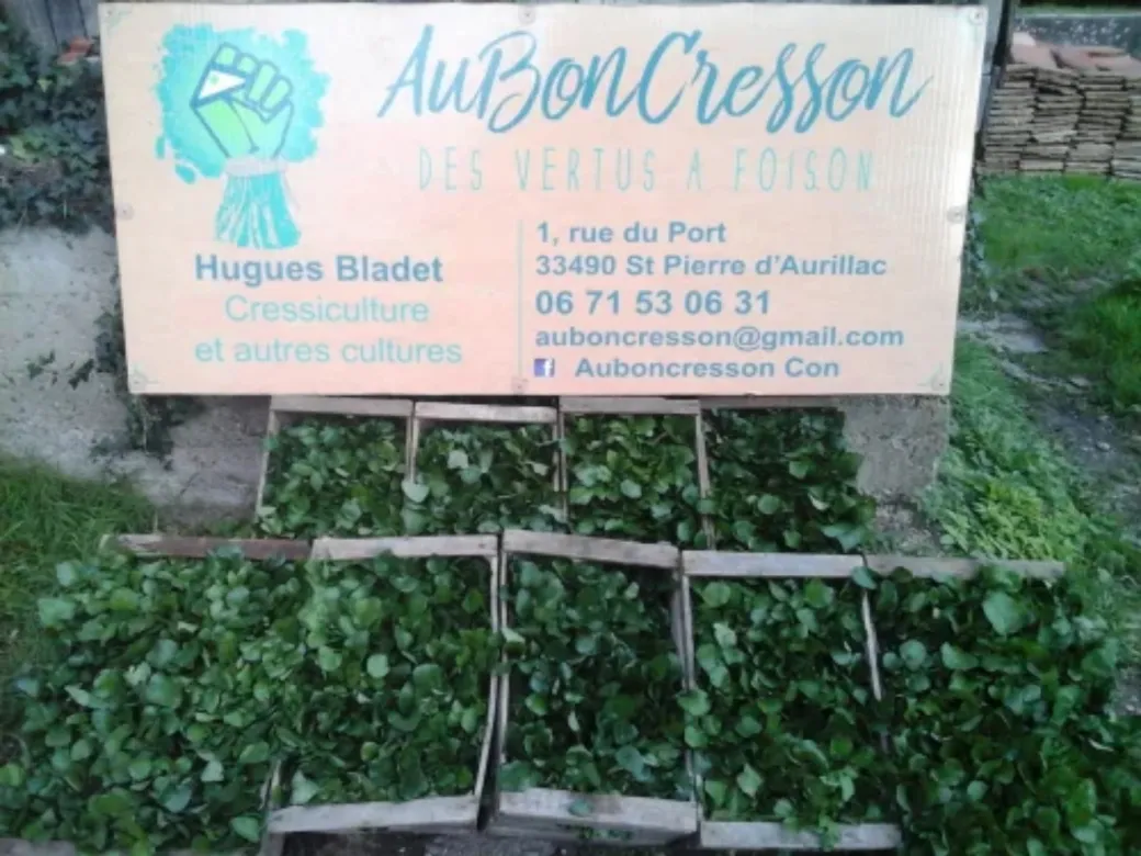 Ici, nos savoir-faire ... - Crédit: Au bon cresson | CC BY-NC-ND 4.0