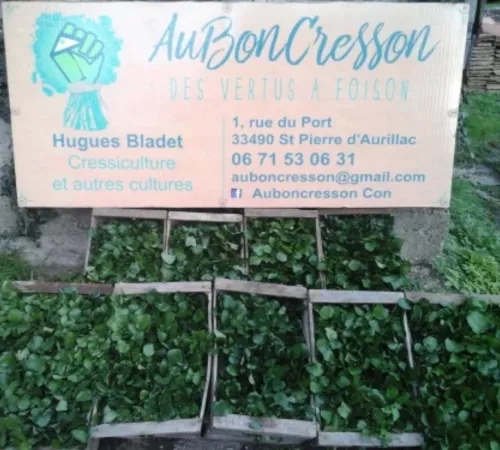 Ici, nos savoir-faire - Visite de l'exploitation "Au bon Cresson"