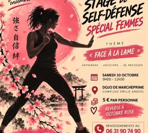 Stage de Self-Défense Spécial Femme dans le cadre d' Octobre Rose