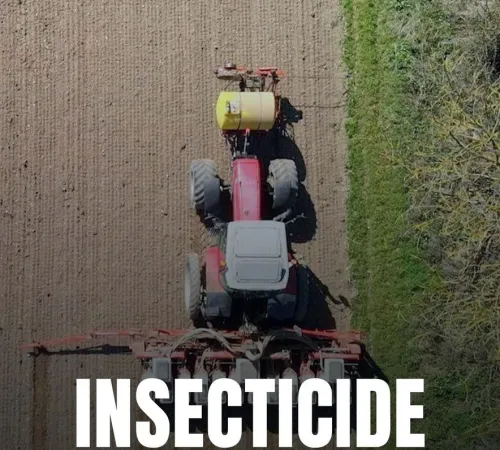 Séance débat avec la projection : INSECTICIDE
