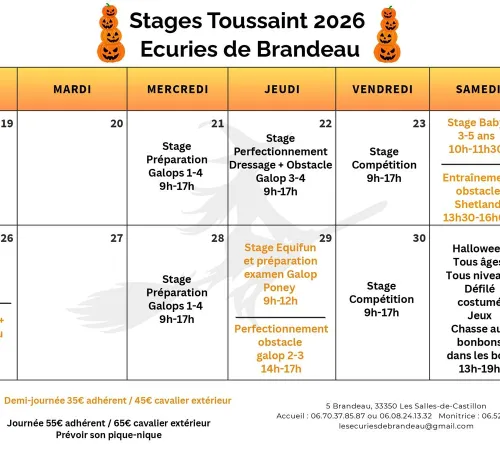 Stage de Toussaint aux Ecuries de Brandeau