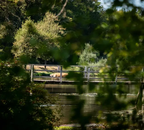 Balade contée "Bienvenue dans l'univers d'Halloween"