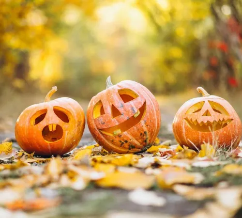 Balade contée "Bienvenue dans l'univers d'Halloween"