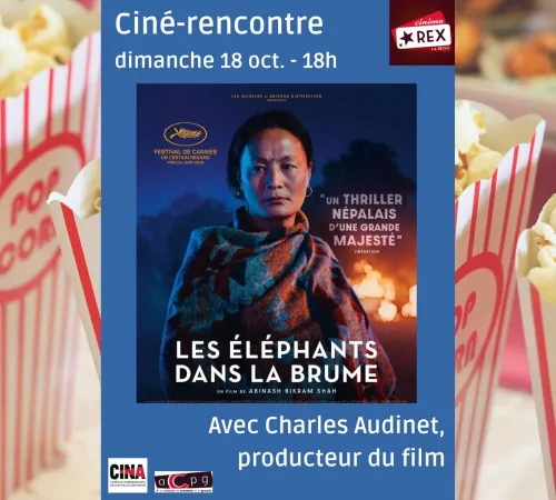 Ciné-rencontre : Les éléphants dans la brume