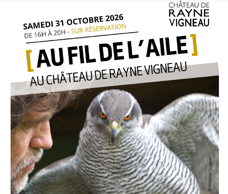 Au fil de l'aile - Crédit: Château de Rayne Vigneau | CC BY-NC-ND 4.0