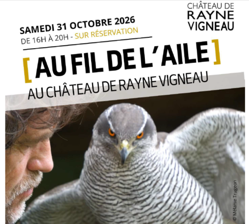 Au fil de l'aile