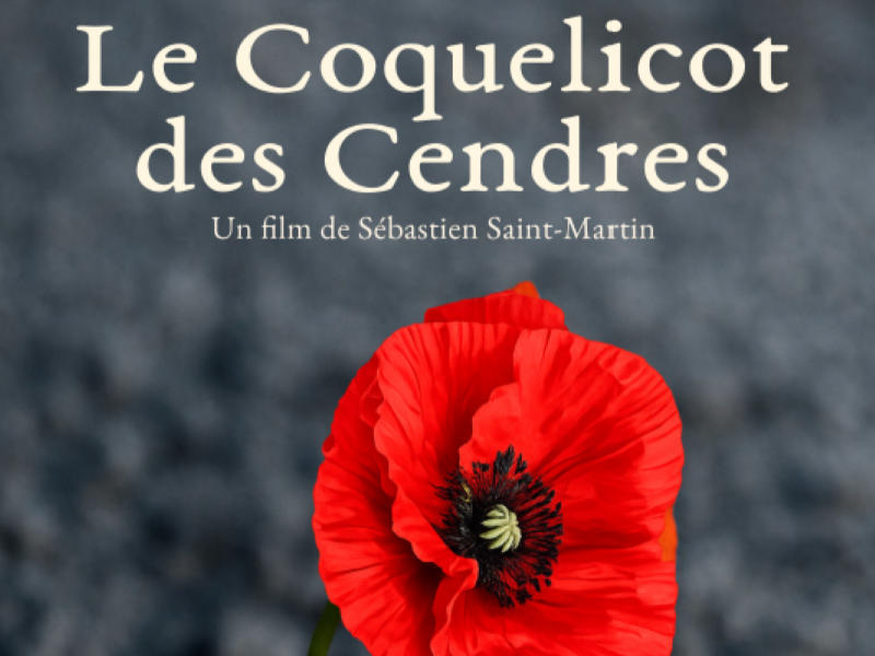 Un film tourné en Sud ... - Crédit: Ciné Vog | CC BY-NC-ND 4.0